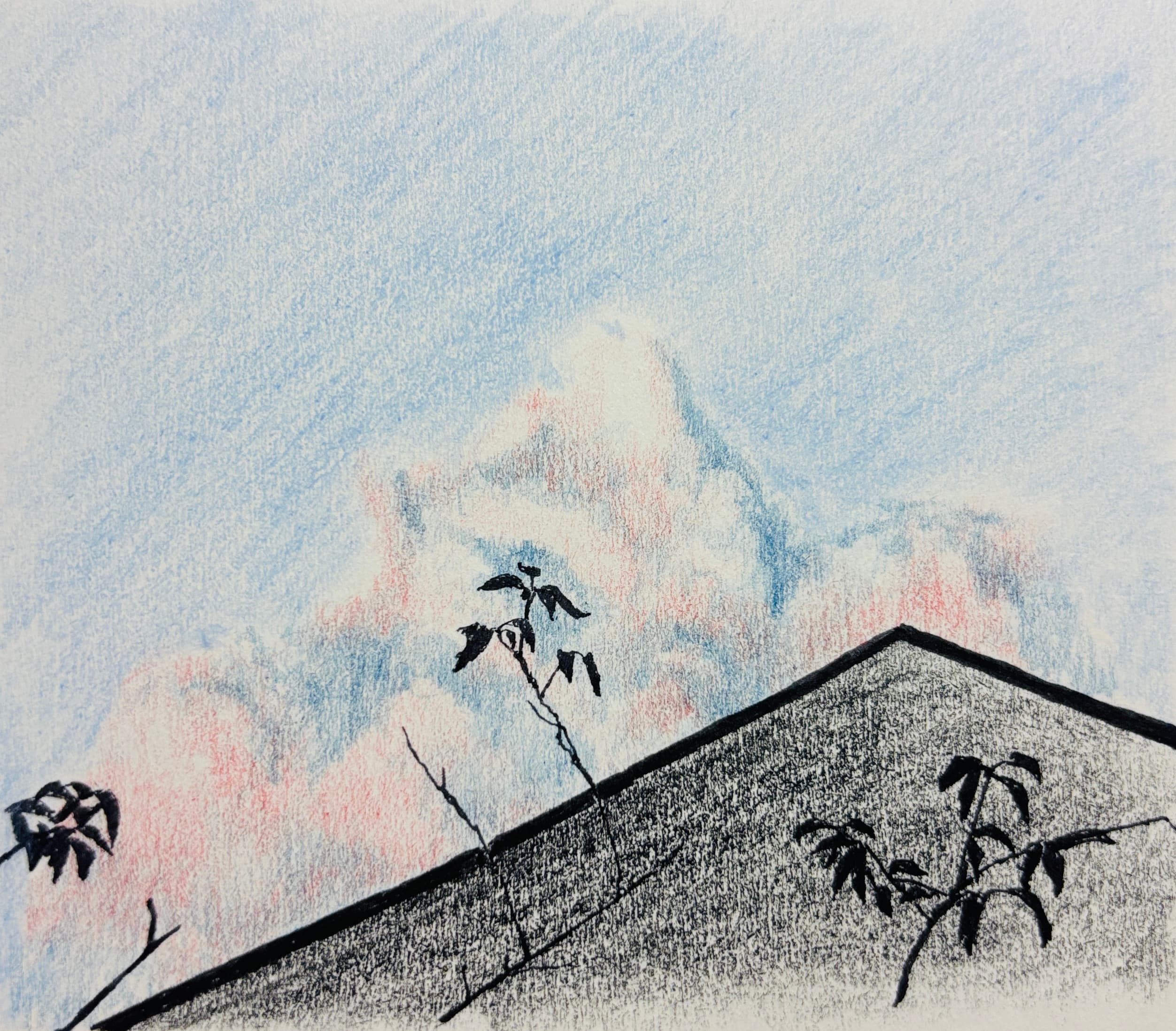 Summer Roof