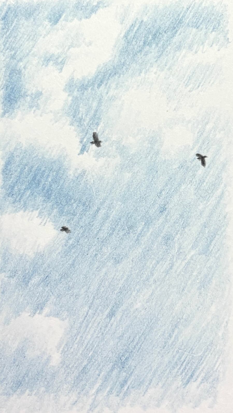 Three Birds